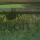 And here’s a crab chilling with the Project Natick data center from Phase 1 in 2015.